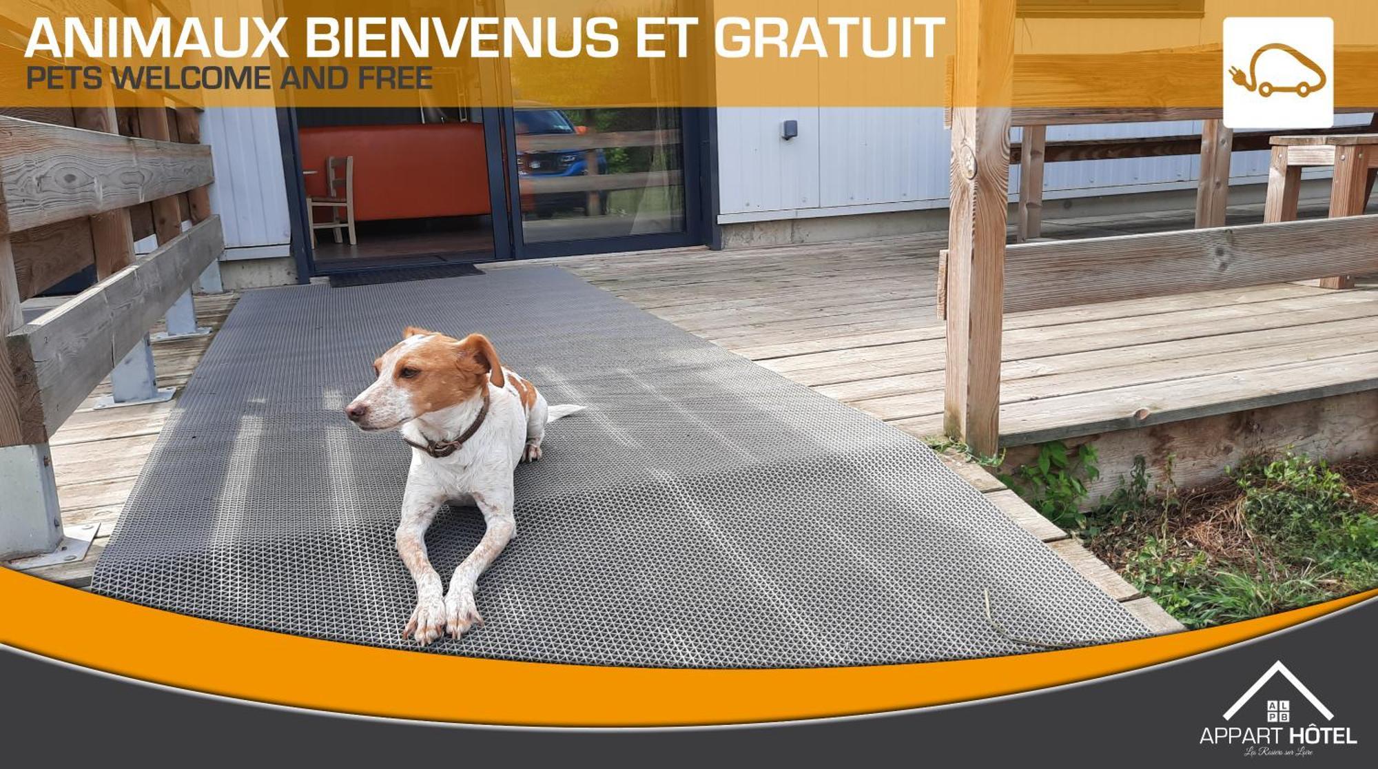 Appart'Hotel Les Pres Blondeau - 1 A 10 Personnes - 3 Chambres - Terrasse - Parking Prive - Wifi Les Rosiers Exteriér fotografie